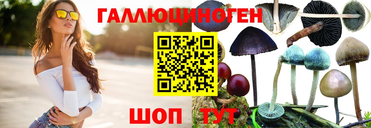 Астрахань  Галлюциногенные грибы Cubensis  Вход с VPN  Галлюциногенные грибы ЛСД 